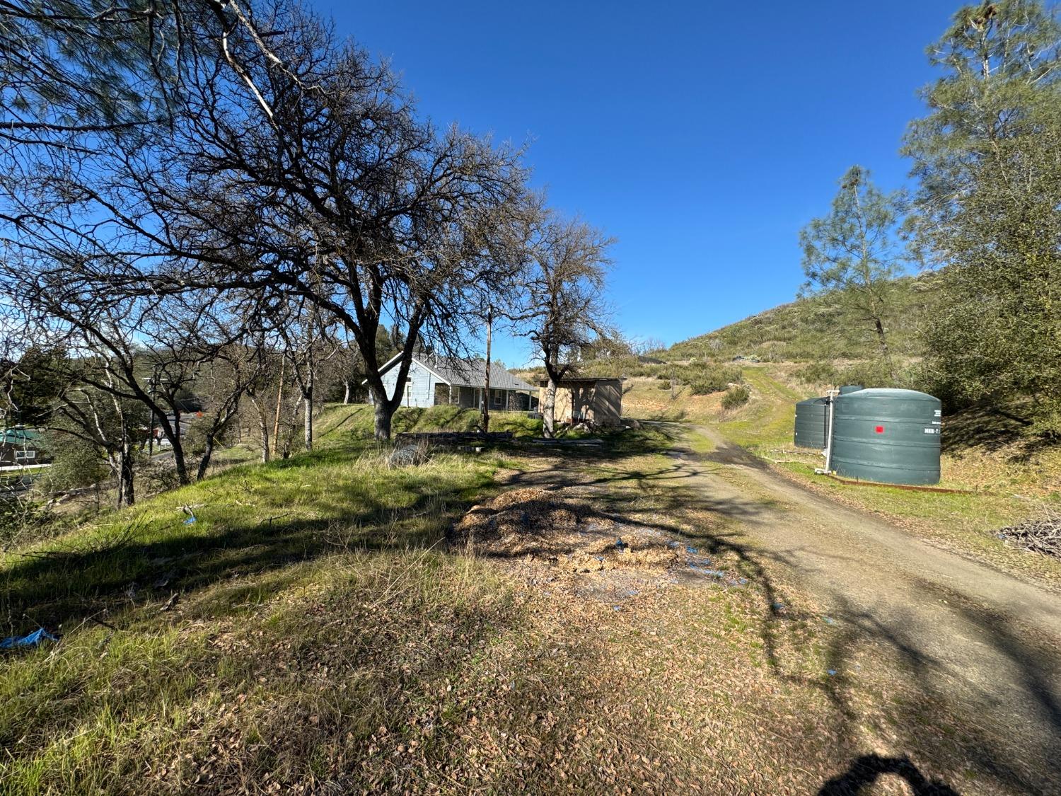 4968 Yaqui Gulch Road Mariposa, CA 95338 - Photo 36 of 37 a view of a yard with plants and a large tree