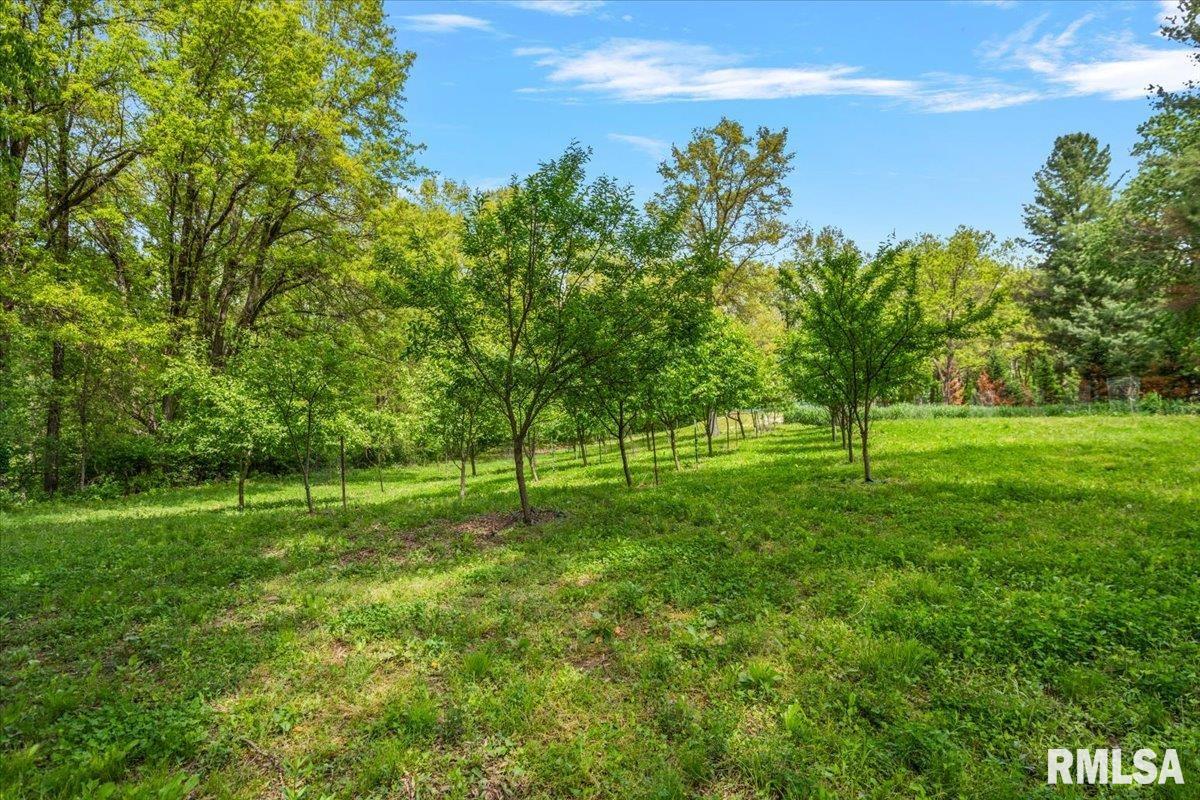 4231 Stone Road Springfield, IL 62707 - Photo 66 of 85