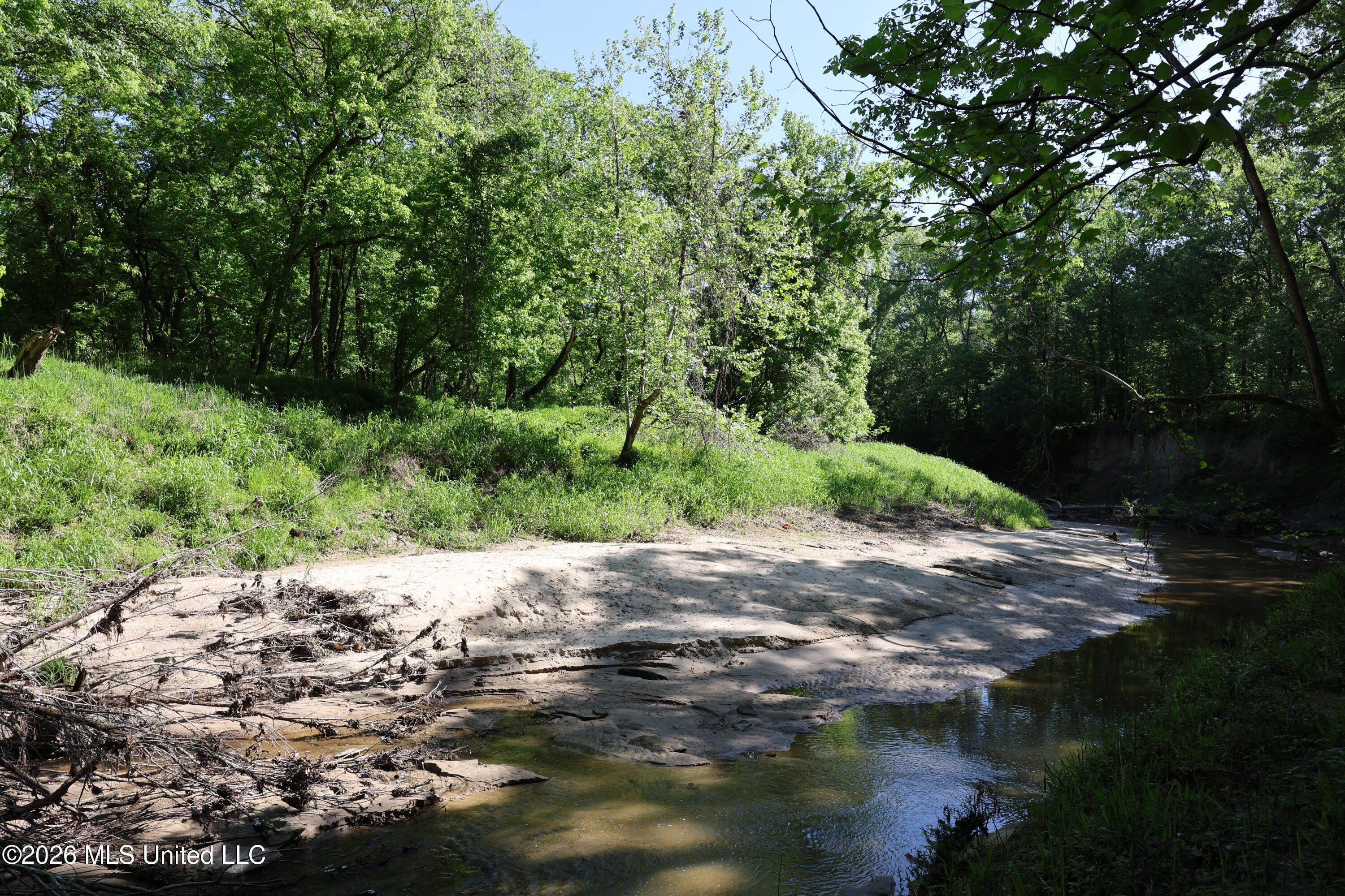 1060 Pearline Bailey Rd Port Port Gibson, MS 39150 - Photo 29 of 63 43F699B8-347B-4F2B-A662-B79D6A8C5447
