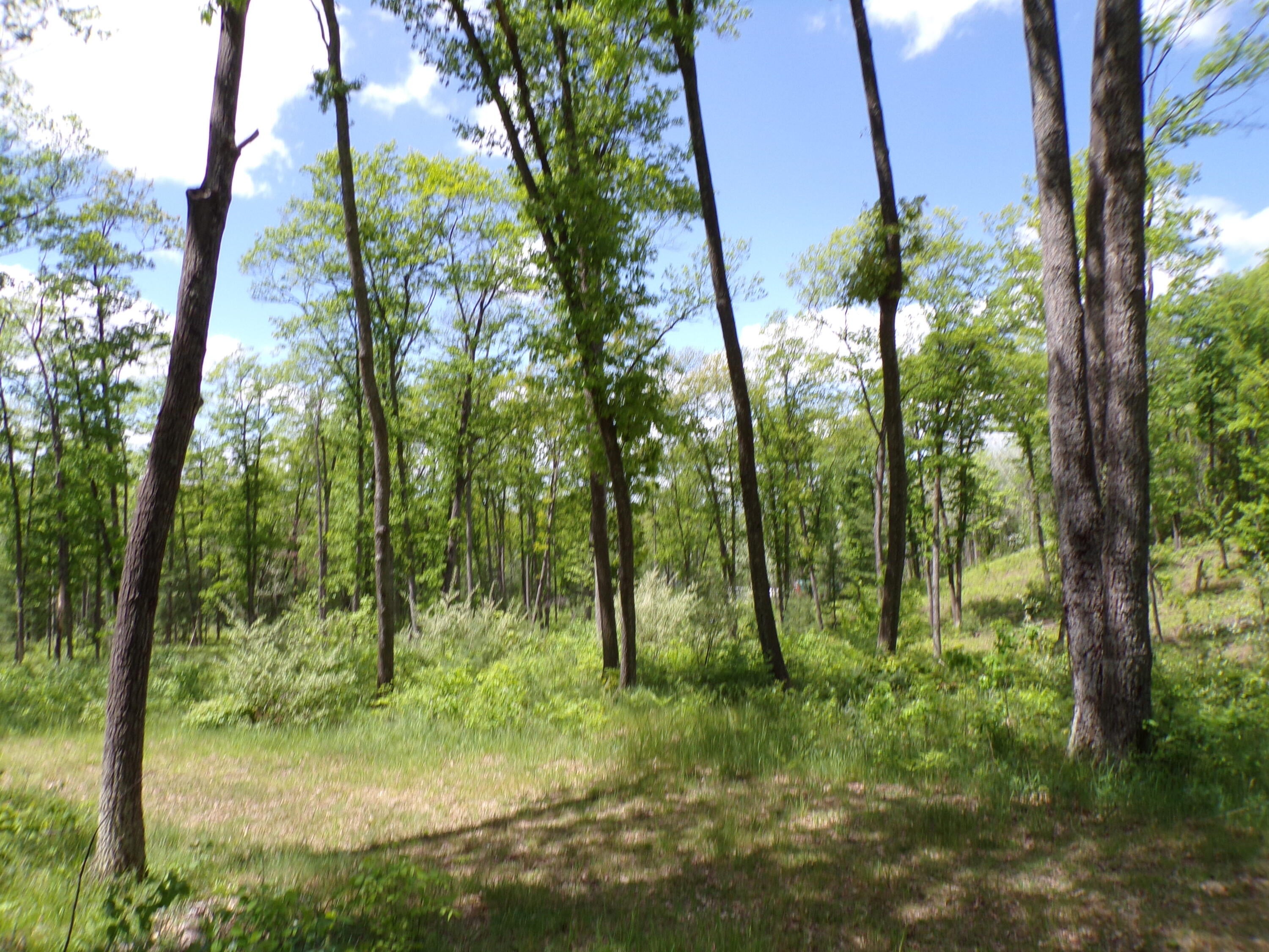 4198 East Miller Road Fairview, MI 48621 - Photo 63 of 64 Gallery Image 63