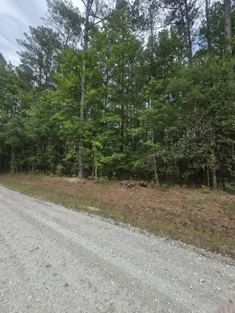 $50,000 | 0 Drew Hill Court, Cottageville, SC 29435