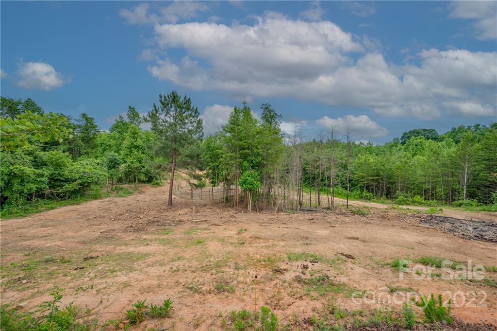 628 Hamilton Road Rutherfordton, NC 28139 - Photo 3 of 35 a view of outdoor space with city view