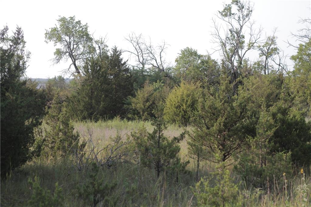 0 Texas Road Moran, KS 66755 - Photo 50 of 50 Gallery Image 50