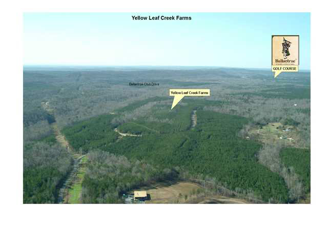 Griffin Road, Unit 1 Chelsea, AL 35043 - Photo 3 of 5