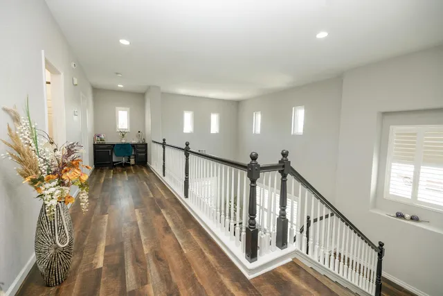 a view of a garden from a patio