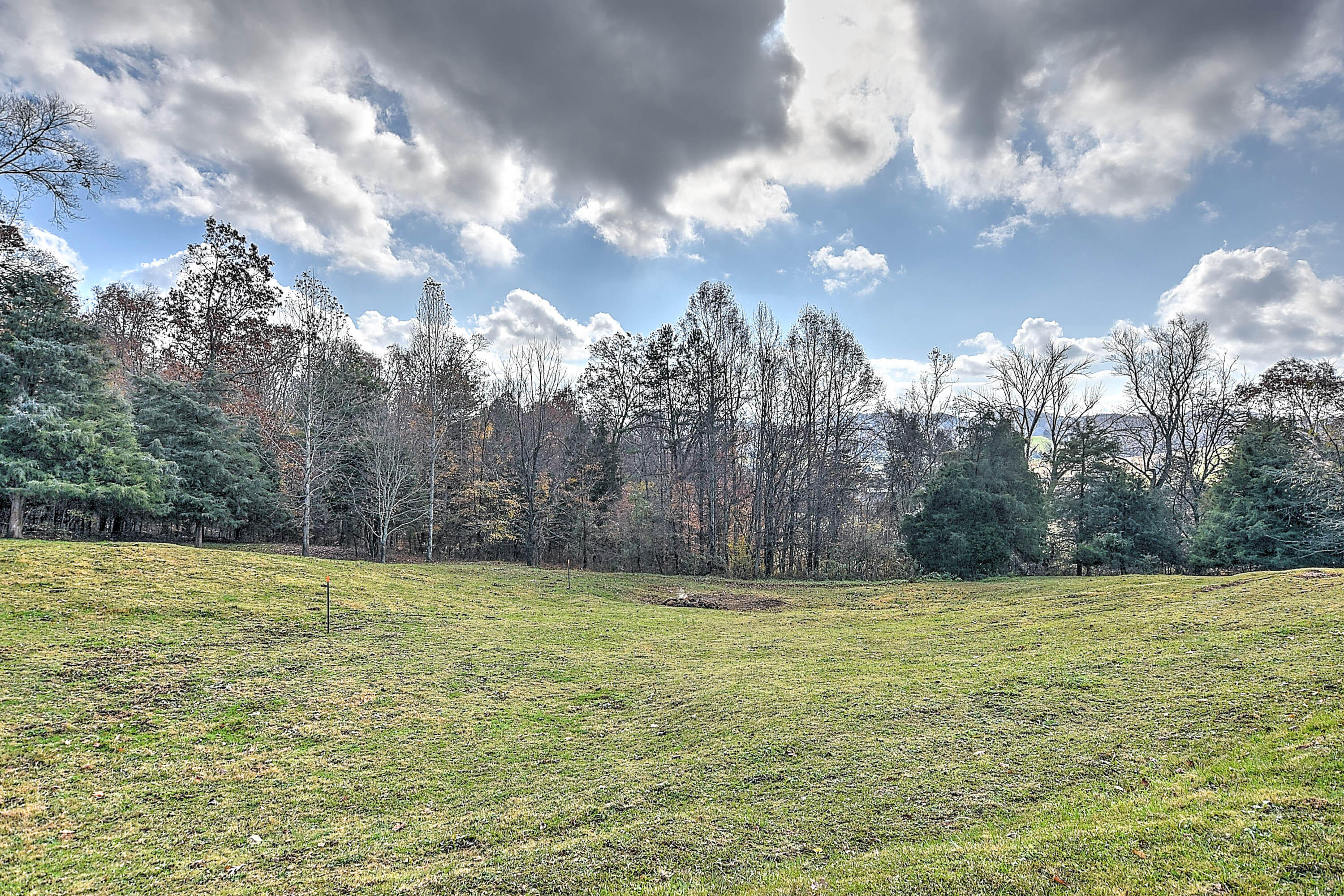 535 Shed Ridge Lane Fall Branch, TN 37656 - Photo 4 of 18 Shed Ridge-2