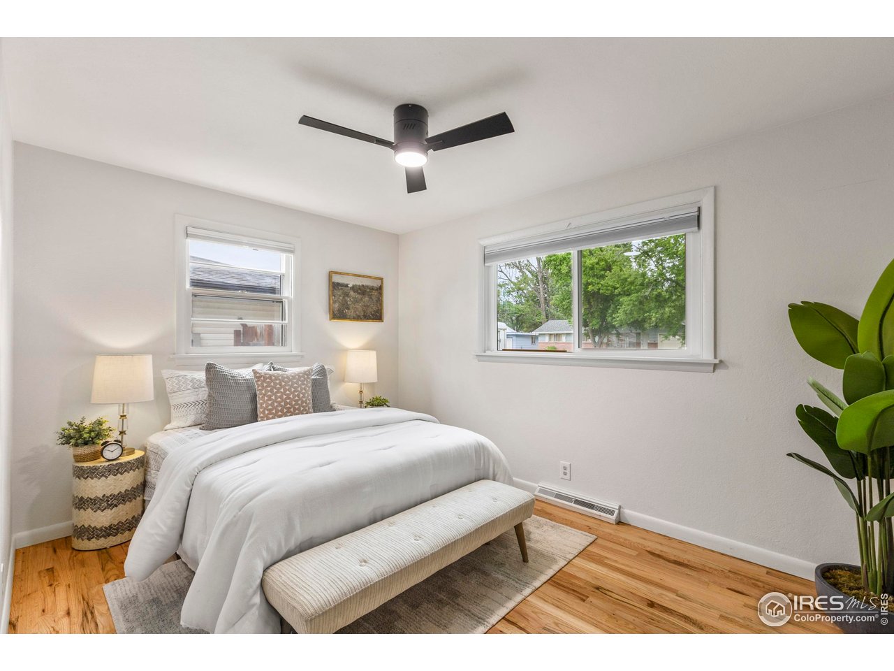 419 Tedmon Drive Fort Collins, CO 80521 - Photo 24 of 35