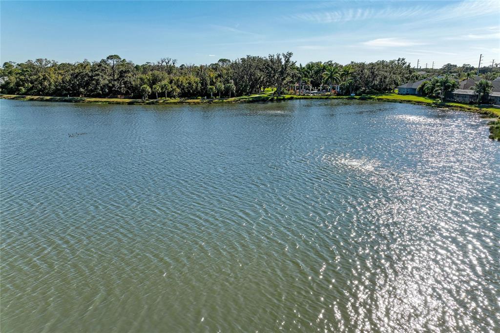 7735 Ridgelake Circle Bradenton, FL 34203 - Photo 47 of 67