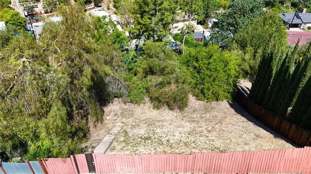 a close up of a plant in a garden