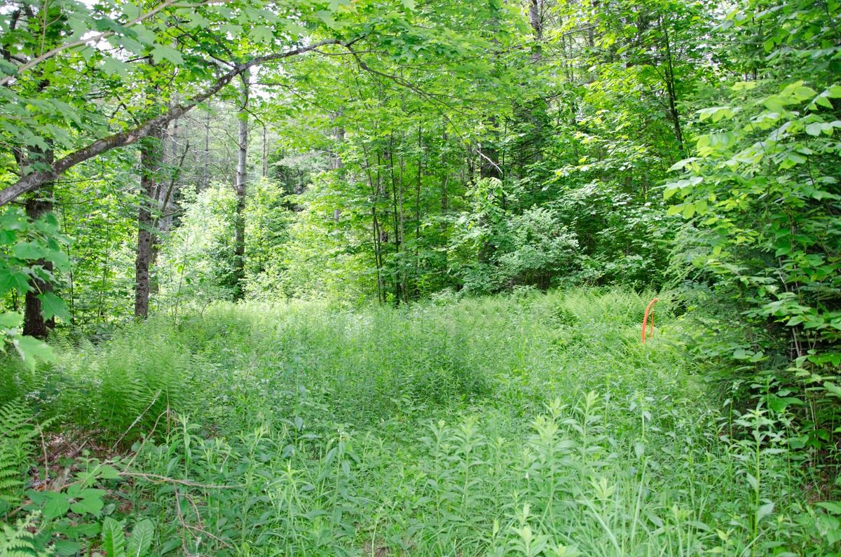 0 Jerusalem Road Plainfield, VT 05667 - Photo 1 of 7