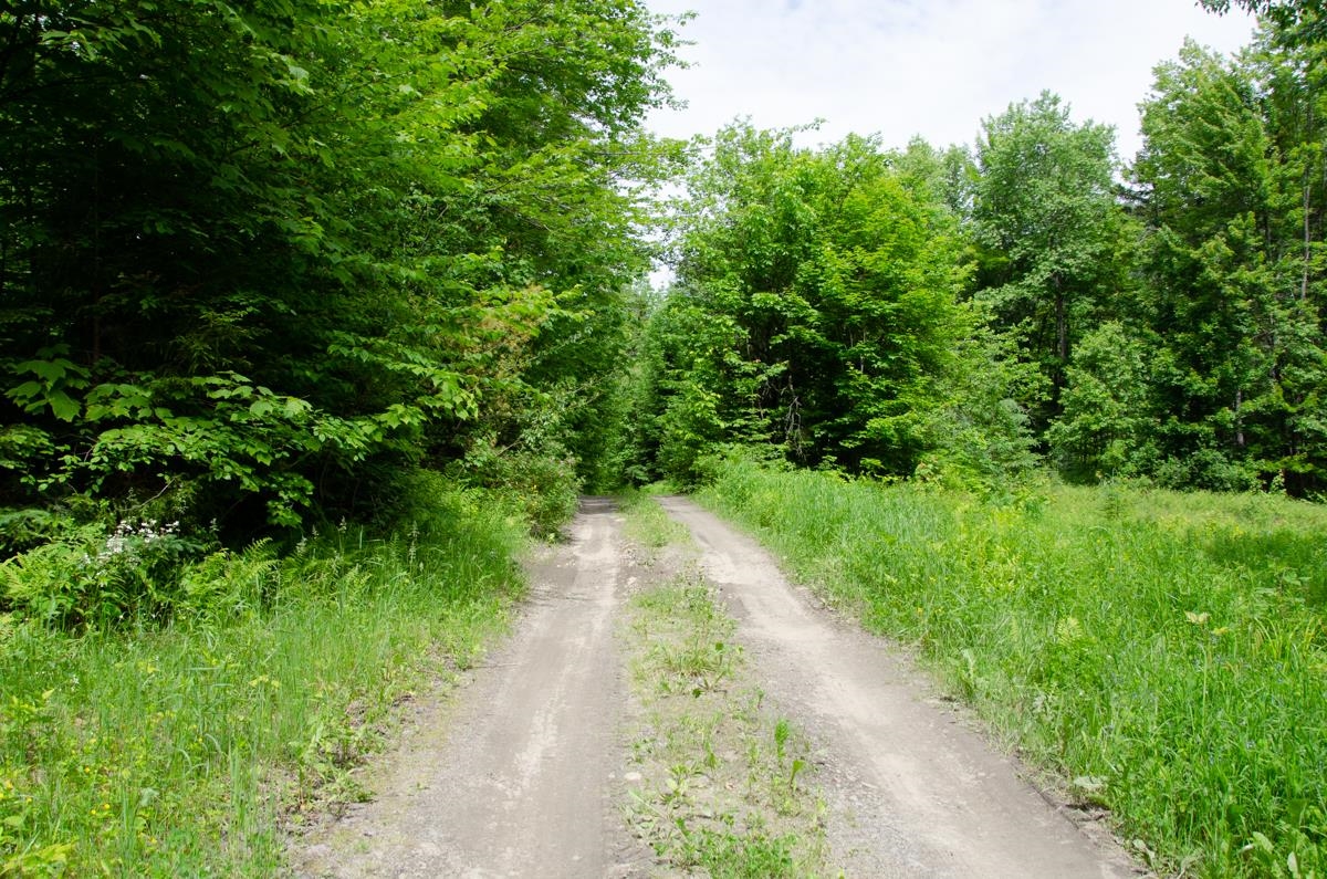 0 Jerusalem Road Plainfield, VT 05667 - Photo 4 of 7