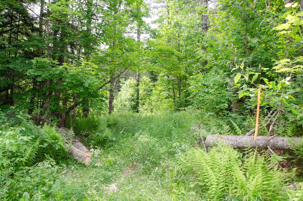 0 Jerusalem Road Plainfield, VT 05667 - Photo 7 of 7