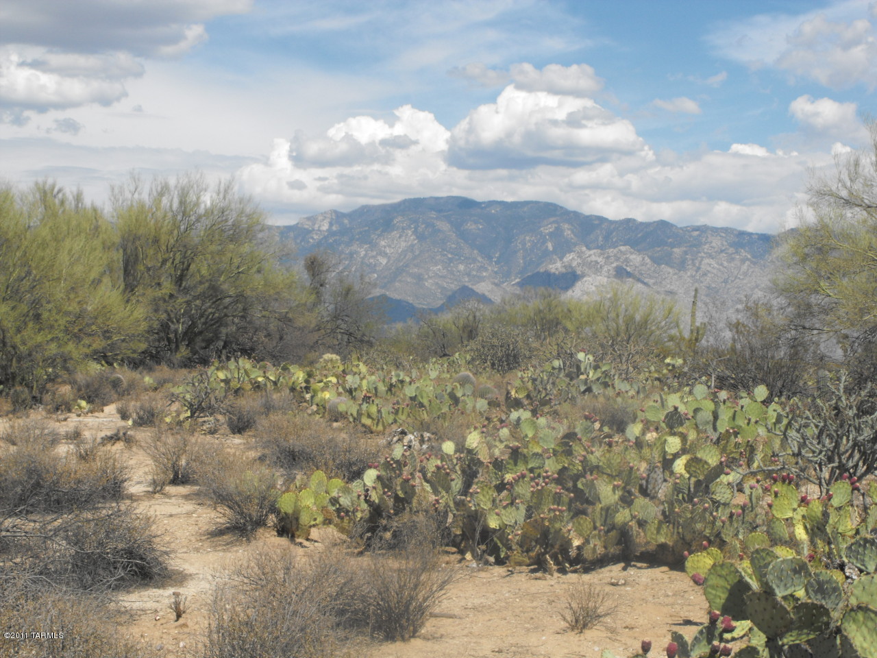 1900 West Sunkist Road Tucson, AZ 85755 - Photo 5 of 6