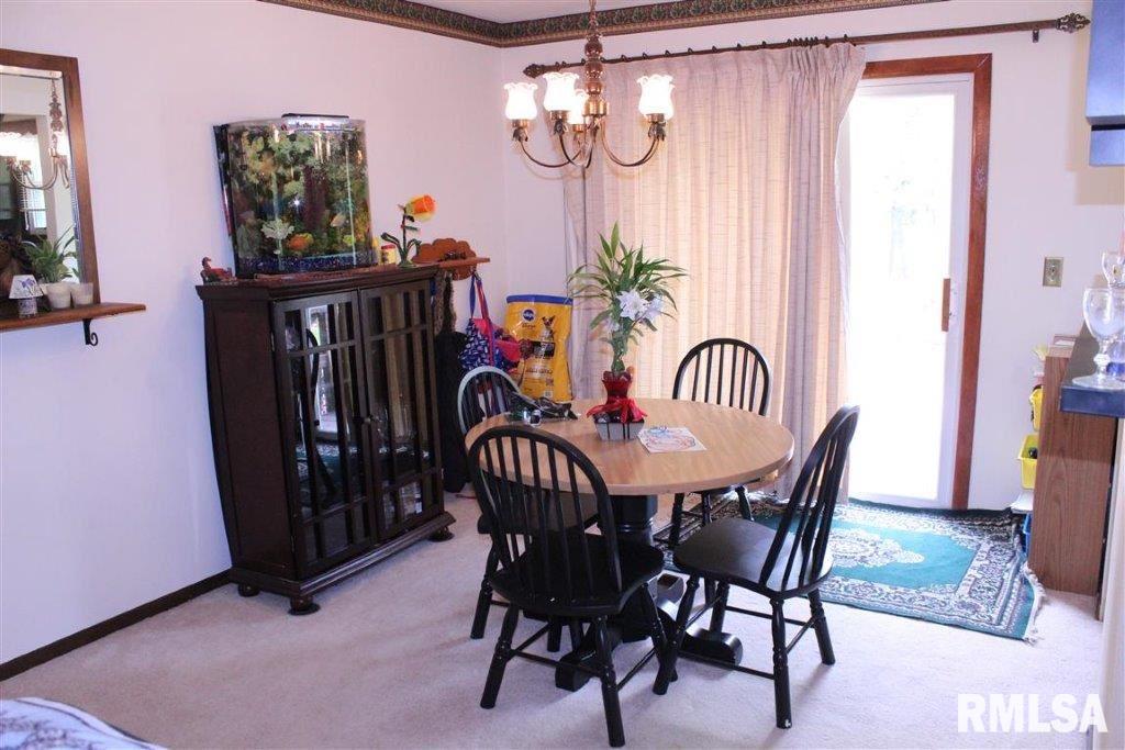 1137 Mark Street Colona, IL 61241 - Photo 8 of 15 Gallery Image 8