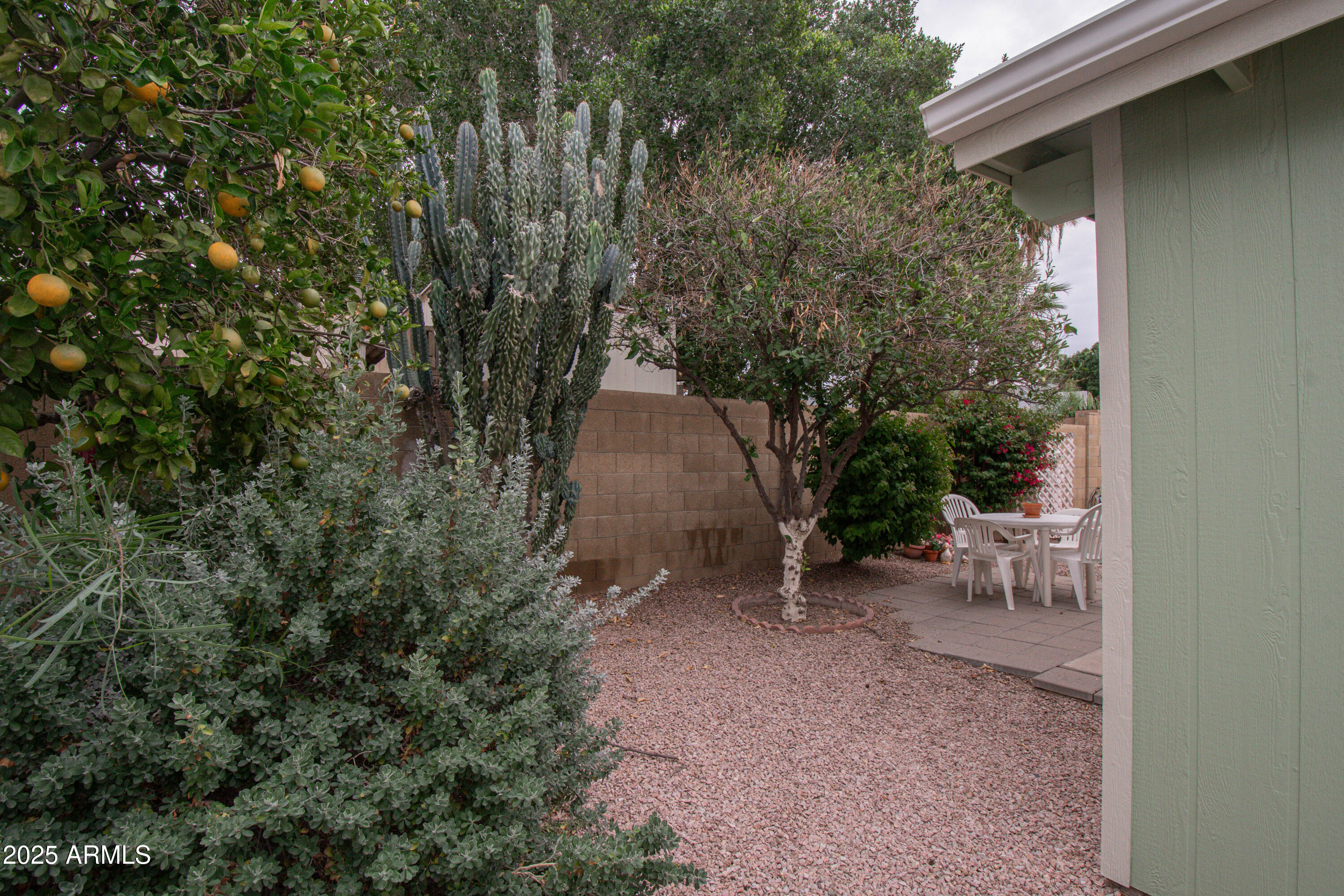 5735 East McDowell Road, Unit 453 Mesa, AZ 85215 - Photo 20 of 41 untitled-20