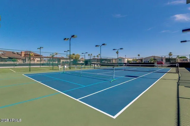 a view of a park with large trees