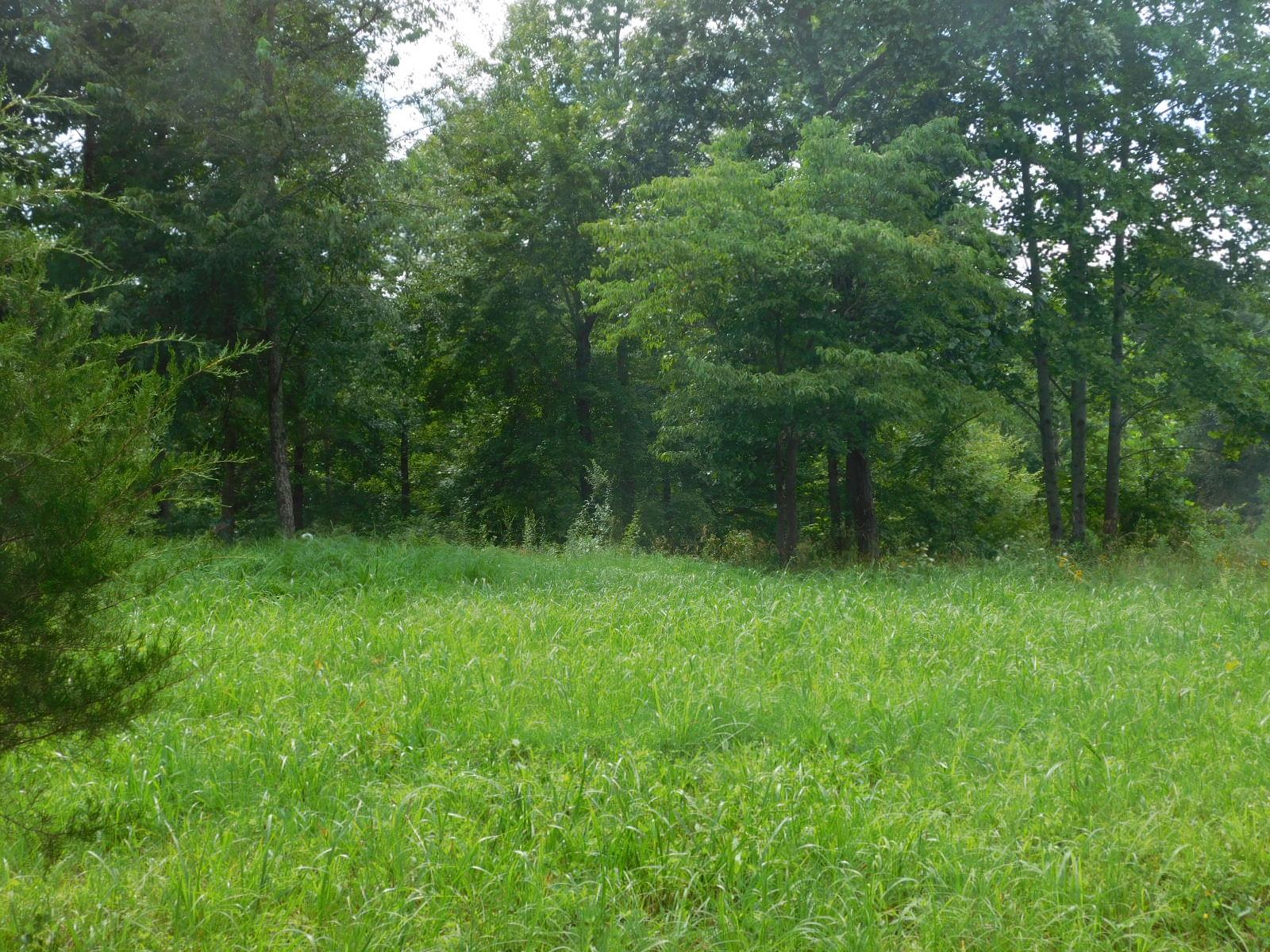 155 Pioneer Road being sold as a whole with MLS#2062679