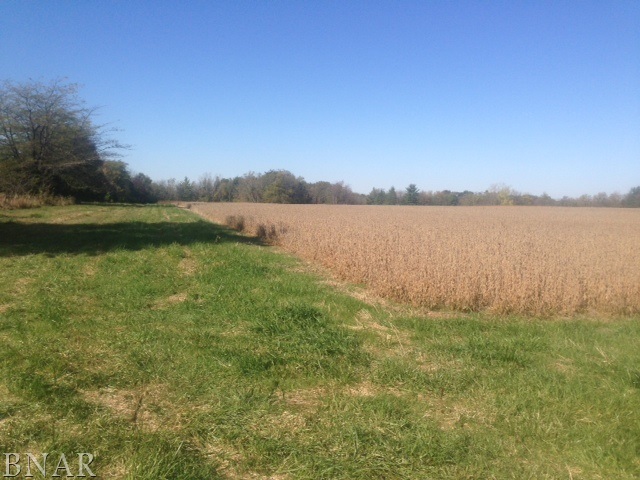 8570 Carl Springs Road Wapella, IL 61777 - Photo 4 of 5