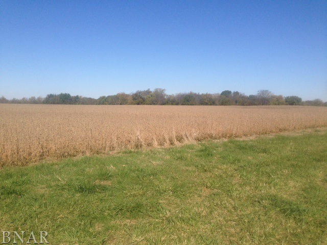 8570 Carl Springs Road Wapella, IL 61777 - Photo 5 of 5