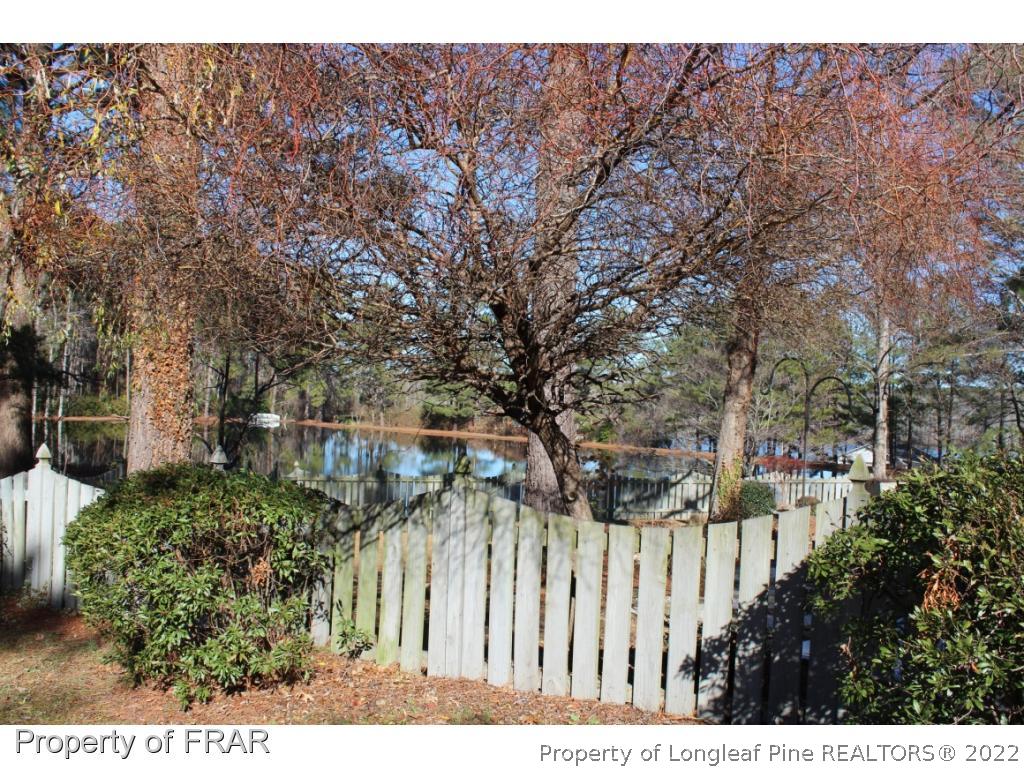 721 Pope Lake Road Angier, NC 27501 - Photo 10 of 25 Gallery Image 10