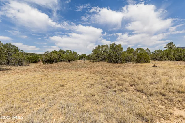 a view of a yard and mountains
