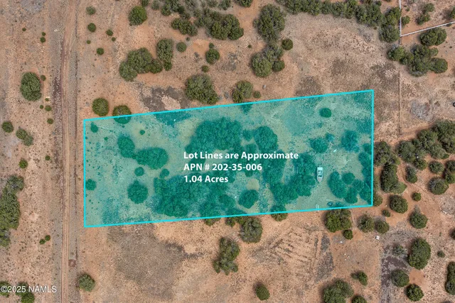 a bathroom with a shower curtain