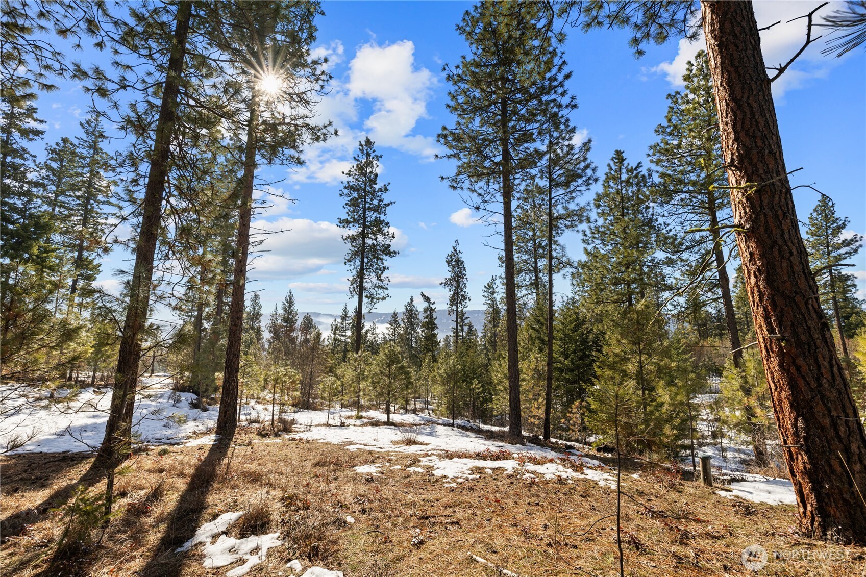 2-lot Game Trl Road Cle Elum, WA 98922 - Photo 5 of 18 Gallery Image 5