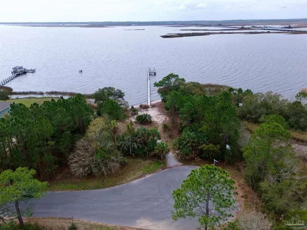 an aerial view of a house with a yard and lake view