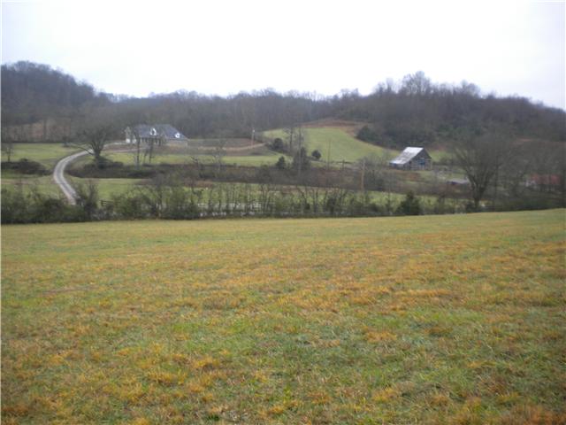 0 Blooming Grove Road Pulaski, TN 38478 - Photo 1 of 3 VIEW FROM TRACT