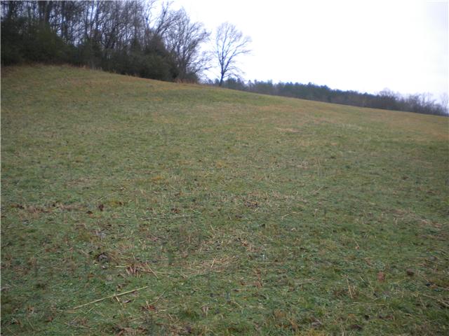 0 Blooming Grove Road Pulaski, TN 38478 - Photo 3 of 3 ANOTHER VIEW