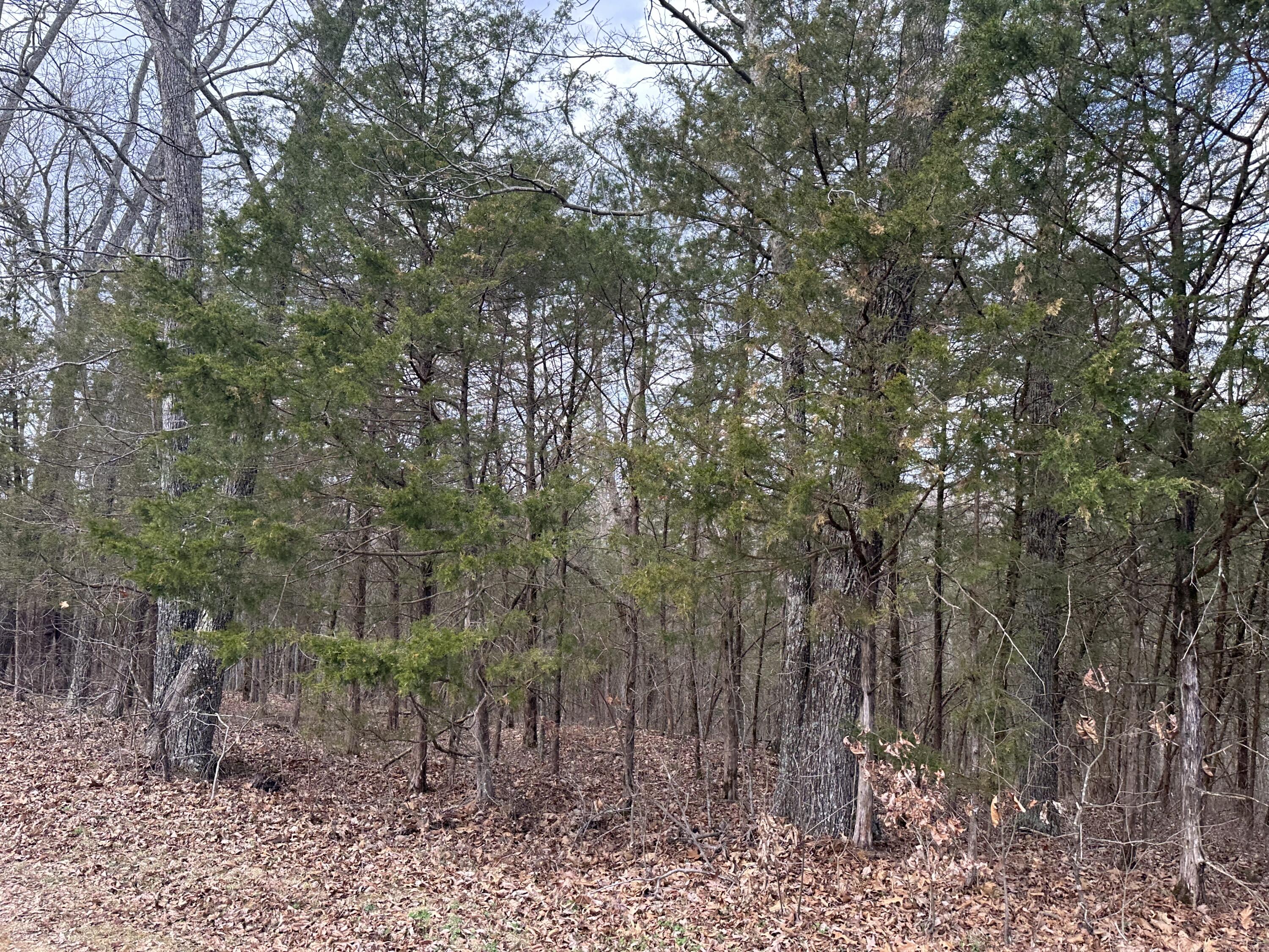 40414243 Fox Trail Road Corinth, KY 41010 - Photo 11 of 25