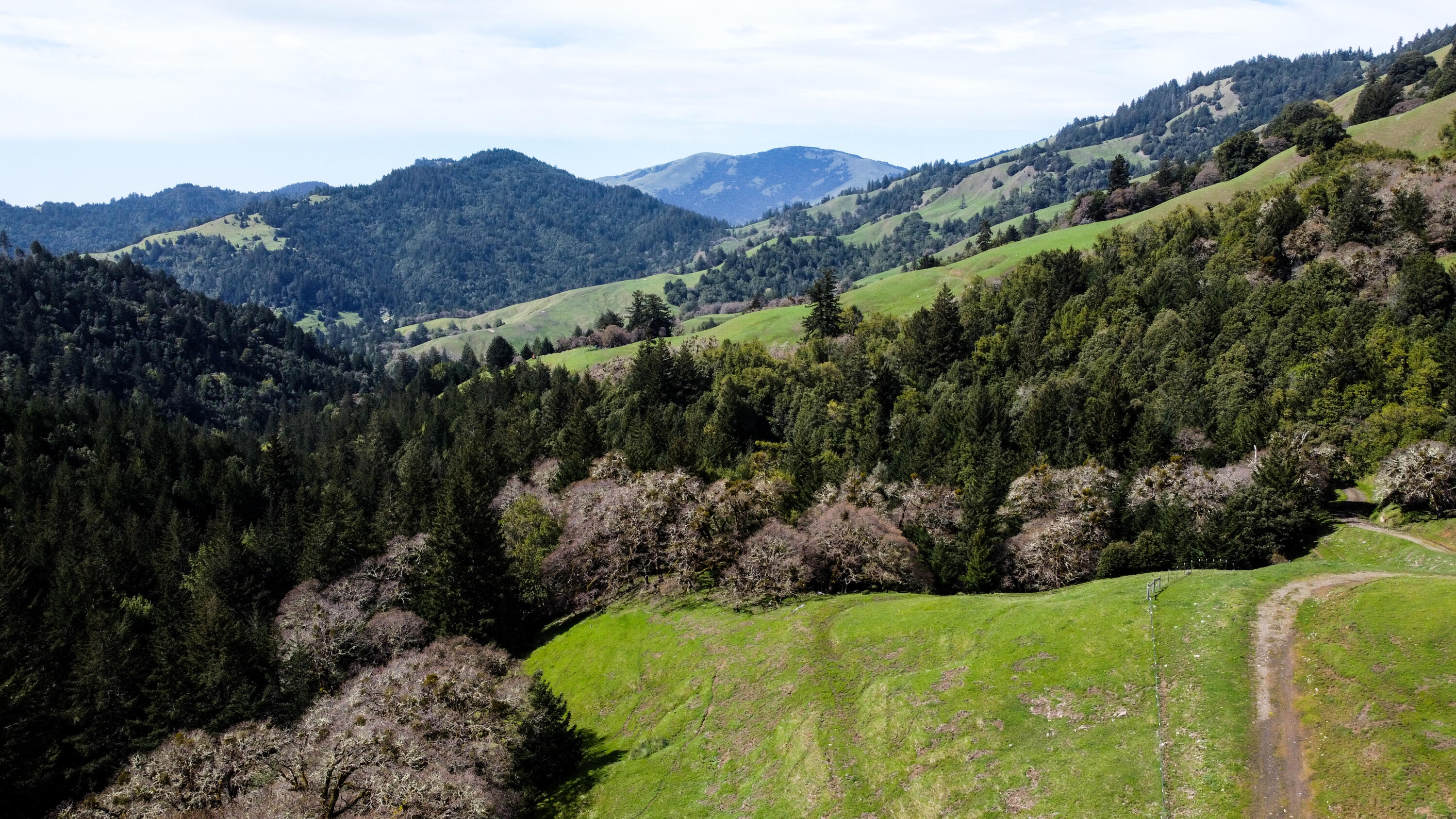 4001 Conklin Creek Road Ferndale, CA 95536 - Photo 88 of 125