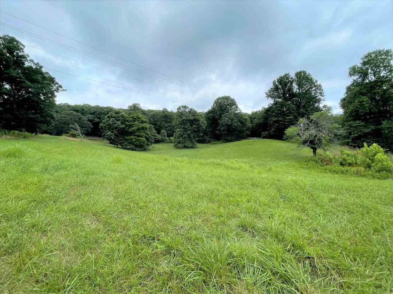 210 Sam Bell Road Clarkesville, GA 30523 - Photo 1 of 1 a view of a big yard with a large trees