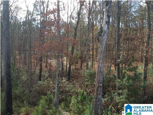 22 Bells Lane, Unit 22 Springville, AL 35146 - Photo 3 of 5