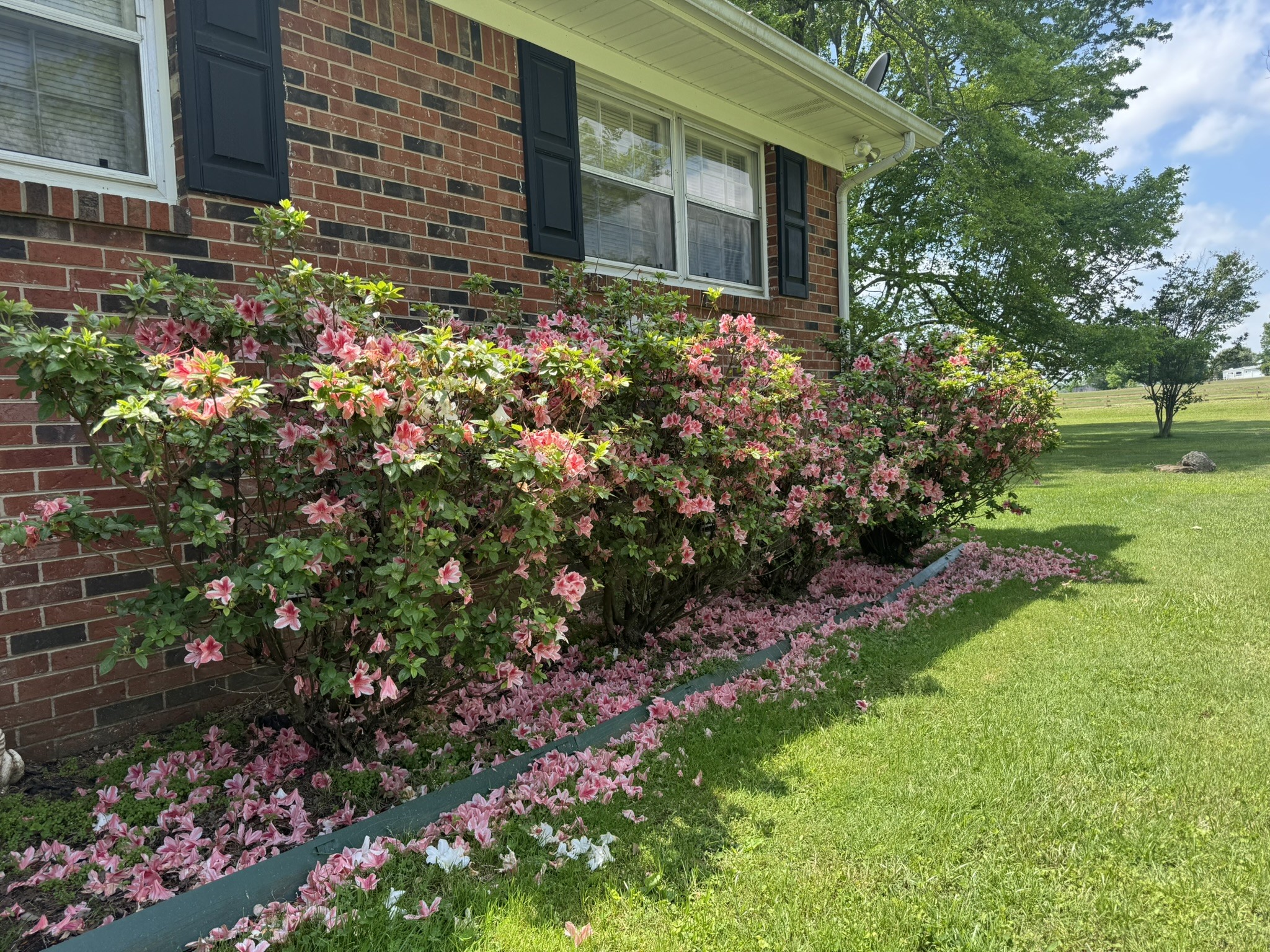 28234 Cedar Hill Road Ardmore, AL 35739 - Photo 29 of 37 Gallery Image 29