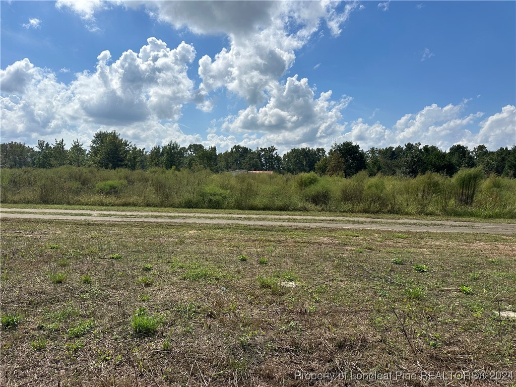 144 Henry Berry Road Rowland, NC 28383 - Photo 2 of 3 Gallery Image 2