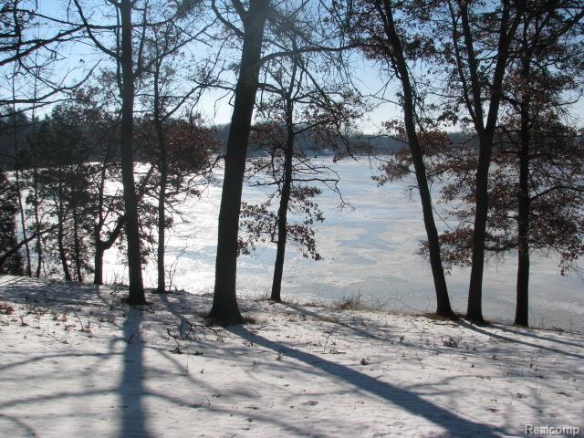 IMG_4530.jpg