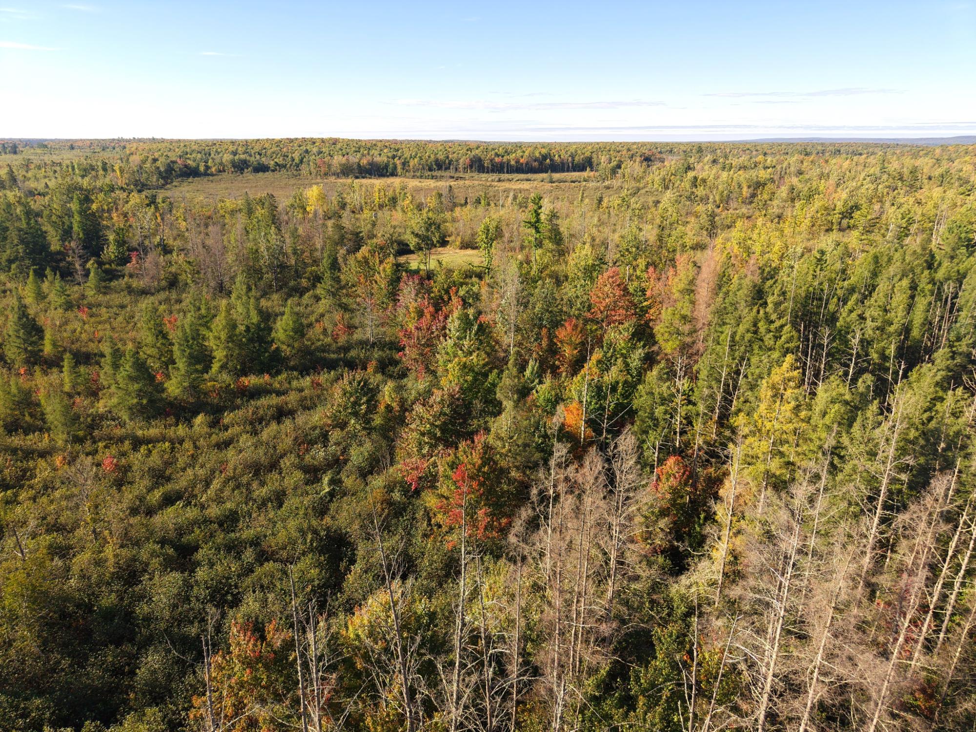 Off Birch Lake Road Exeland, WI 54835 - Photo 42 of 44 Gallery Image 42