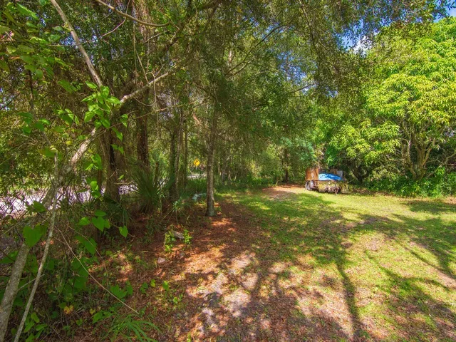 a view of a trees with a yard