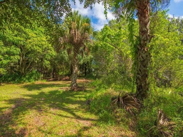 a view of yard with green space