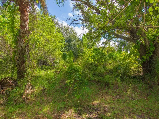 a view of a big yard