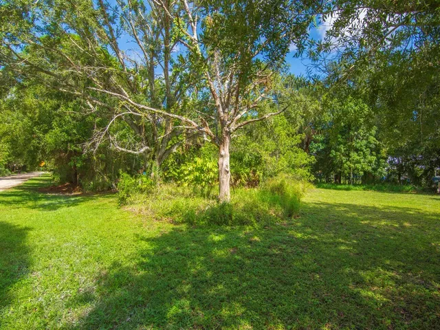 a view of yard with green space