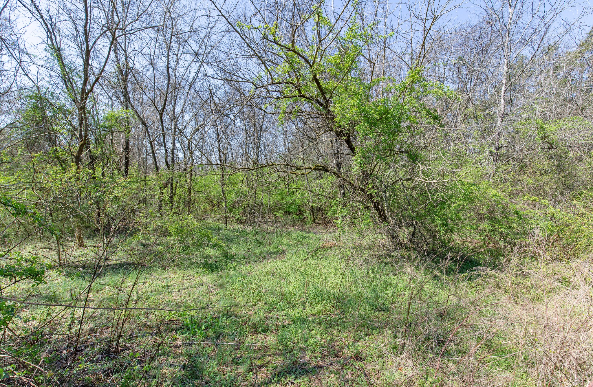 227 Spero Road Goodlettsville, TN 37072 - Photo 24 of 52 Gallery Image 24