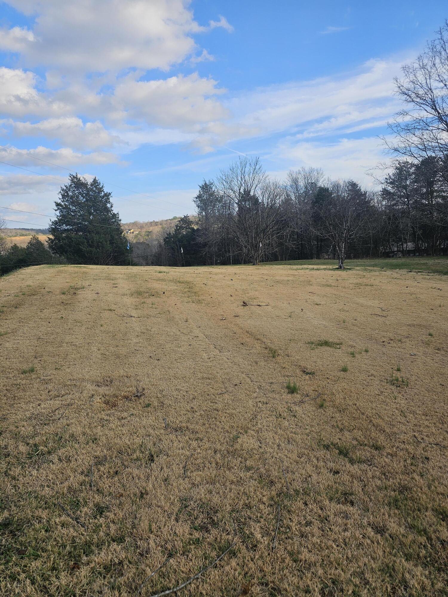 49 Hays Hollow Road Flintstone, GA 30725 - Photo 29 of 38 Views to East