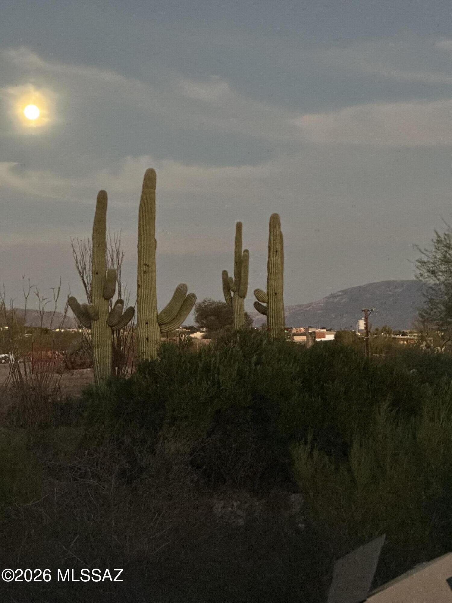 4060 North Swan Road Tucson, AZ 85718 - Photo 42 of 47 a view of a backyard