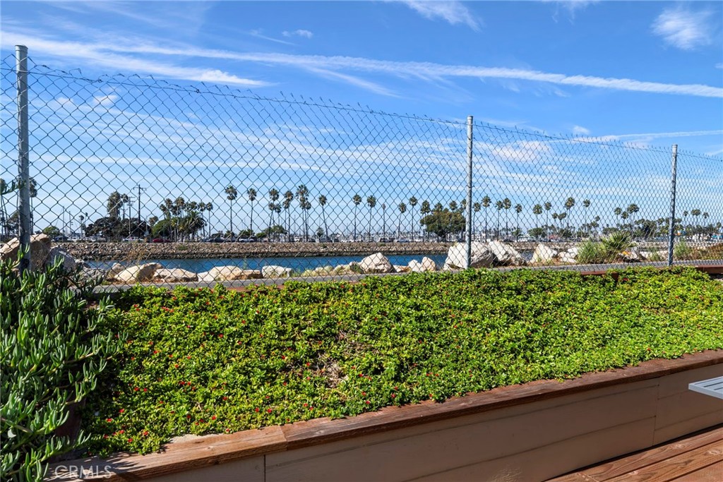 48 Riversea Road Seal Beach, CA 90740 - Photo 9 of 34 a view of a garden with plants