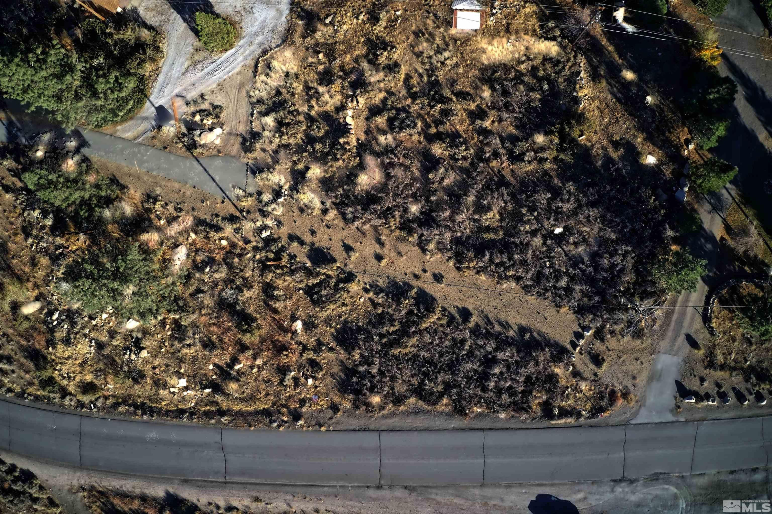 a view of a tree with an empty space