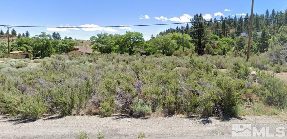 549 South Verdi Road Verdi, NV 89439 - Photo 4 of 11