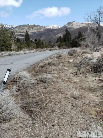 a view of a yard covered with trees