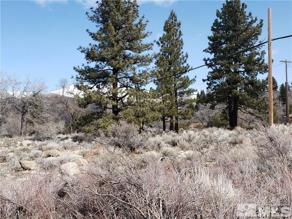 549 South Verdi Road Verdi, NV 89439 - Photo 8 of 11 a view of a yard covered with trees